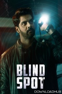 Blind Spot (2025) ORG Hindi Dubbed Movie